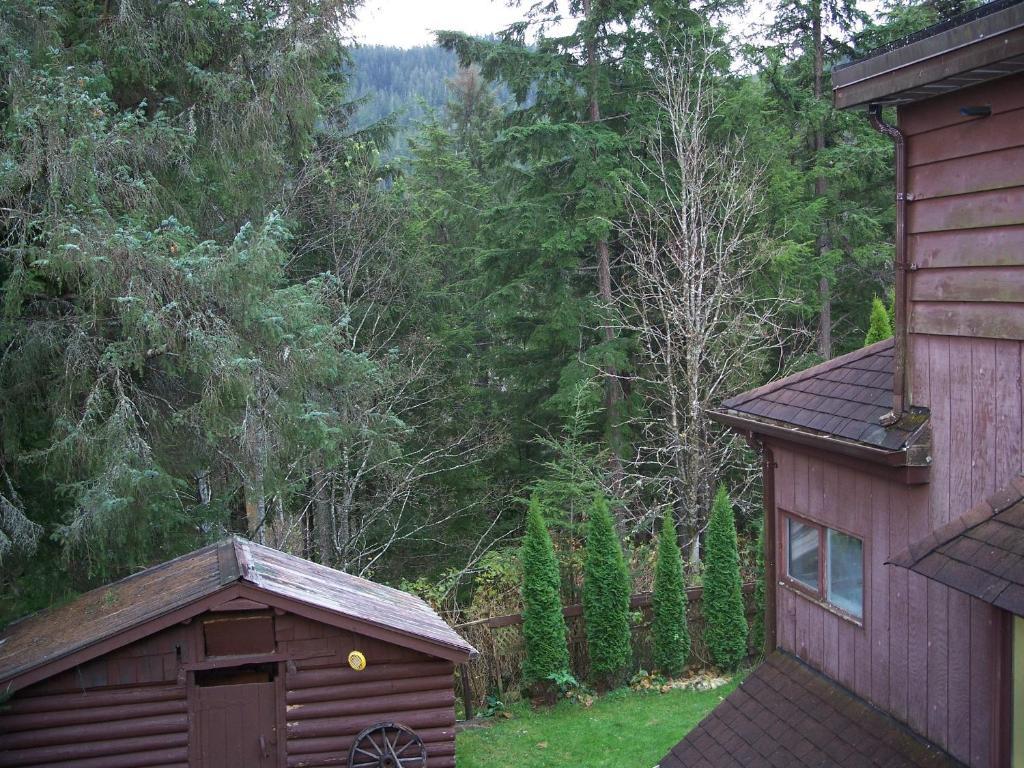 Tall Trees Bed & Breakfast Prince Rupert Oda fotoğraf